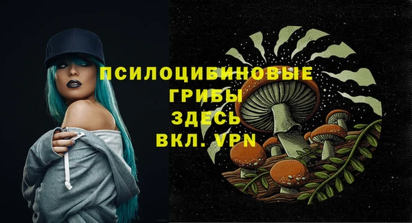 ALPHA PVP Алексеевка