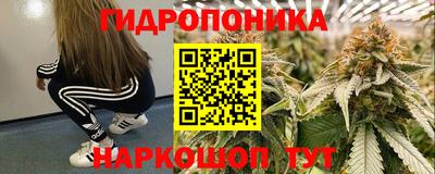 ECSTASY Кингисепп