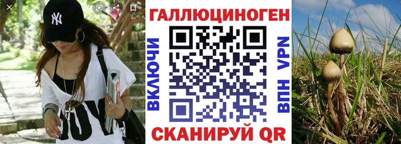 наркошоп  Калач-на-Дону  Псилоцибиновые грибы MAGIC MUSHROOMS 