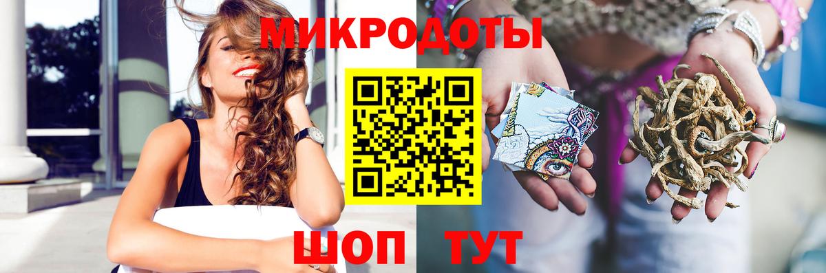 Псилоцибиновые грибы прущие грибы Калач-на-Дону